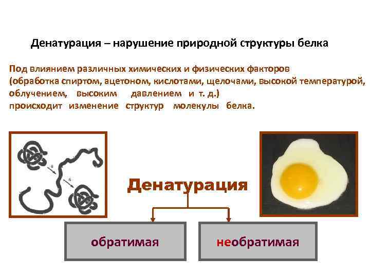 Проект денатурация белка 10 класс