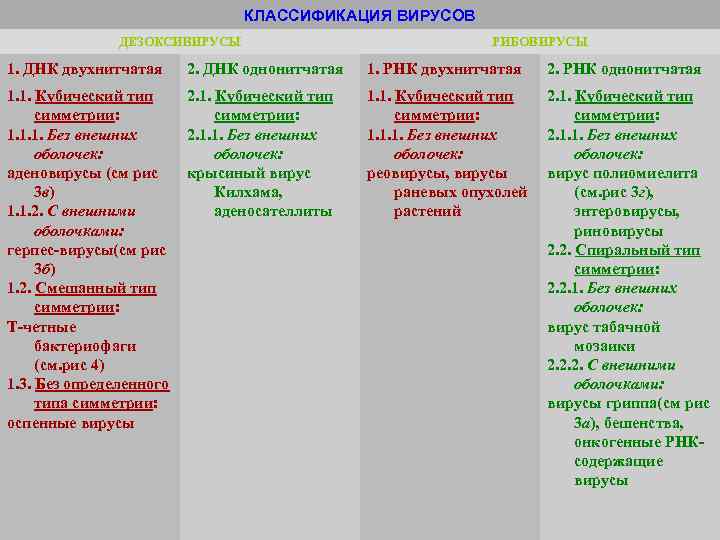 КЛАССИФИКАЦИЯ ВИРУСОВ ДЕЗОКСИВИРУСЫ РИБОВИРУСЫ 1. ДНК двухнитчатая 2. ДНК однонитчатая 1. РНК двухнитчатая 2.