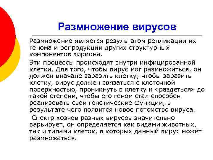 Размножение вирусов Размножение является результатом репликации их генома и репродукции других структурных компонентов вириона.