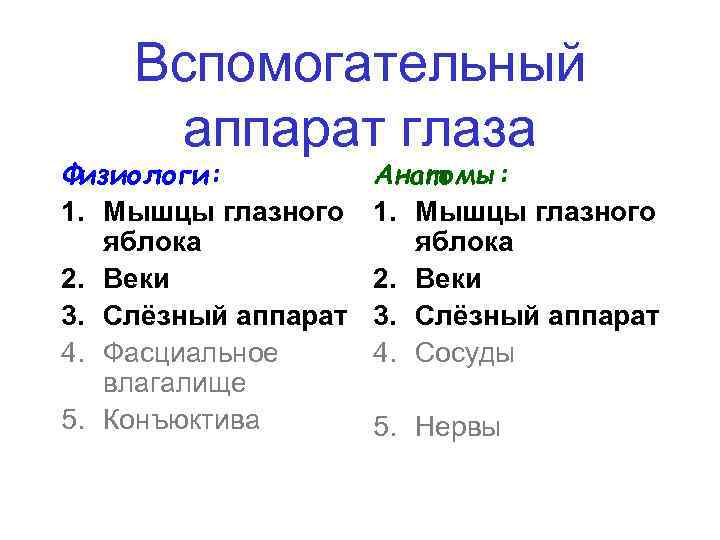 Вспомогательный аппарат глаза Физиологи: 1. Мышцы глазного яблока 2. Веки 3. Слёзный аппарат 4.