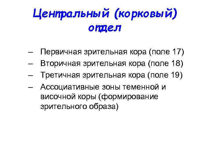 Центральный (корковый) отдел – – Первичная зрительная кора (поле 17) Вторичная зрительная кора (поле