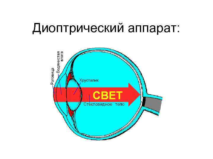 Диоптрический аппарат: 