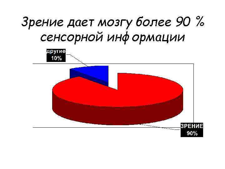 3 рение дает мозгу более 90 % сенсорной информации 