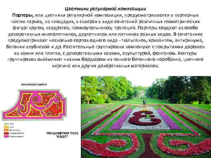 Цветники регулярной композиции Партеры, или цветники регулярной композиции, предусматриваются в партерных частях парков, на