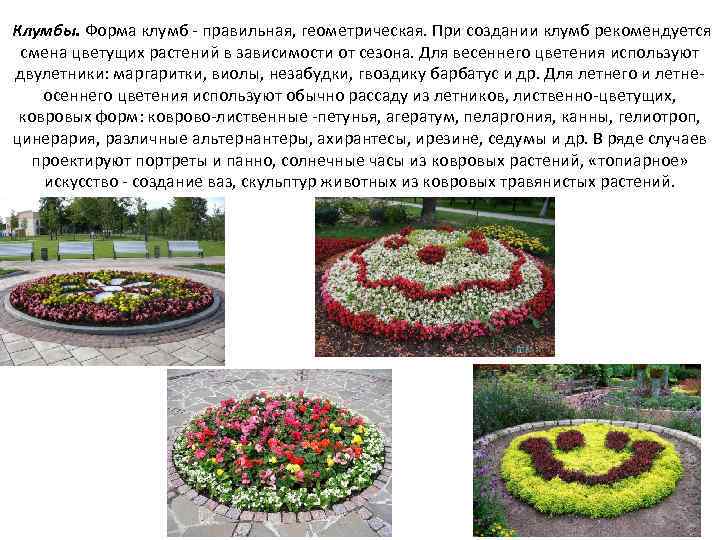  Клумбы. Форма клумб - правильная, геометрическая. При создании клумб рекомендуется смена цветущих растений