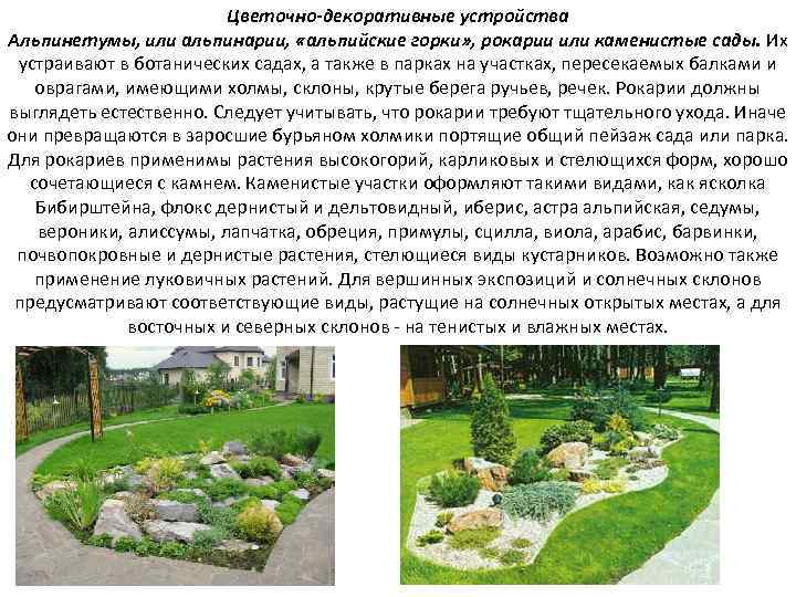Цветочно-декоративные устройства Альпинетумы, или альпинарии, «альпийские горки» , рокарии или каменистые сады. Их устраивают