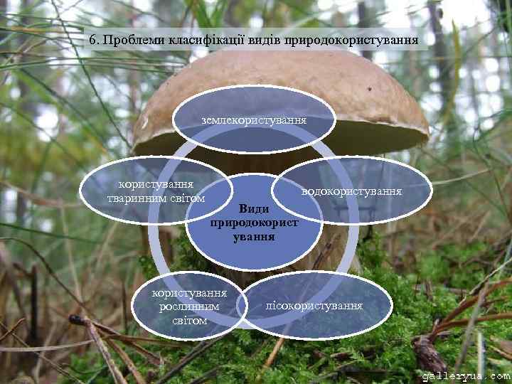 6. Проблеми класифікації видів природокористування землекористування тваринним світом водокористування Види природокорист ування користування рослинним