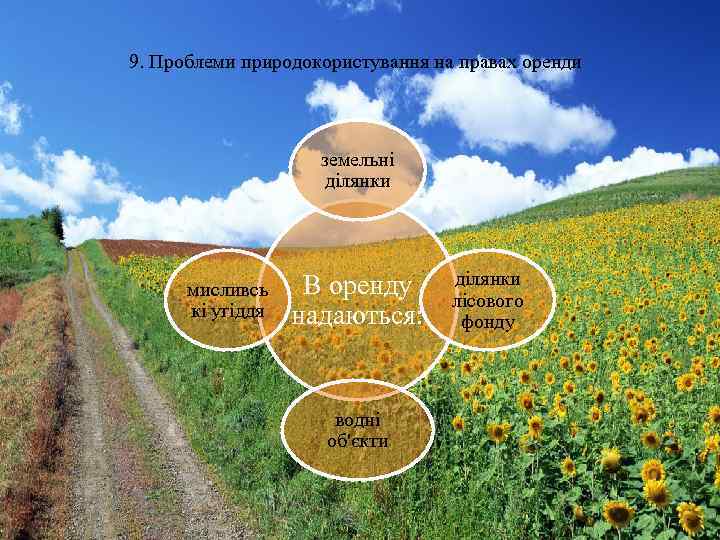 9. Проблеми природокористування на правах оренди земельні ділянки мисливсь кі угіддя В оренду надаються: