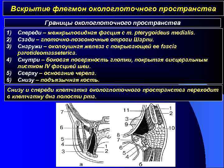 Вскрытие флегмон окологлоточного пространства Границы окологлоточного пространства 1) 2) 3) 4) 5) 6) Спереди
