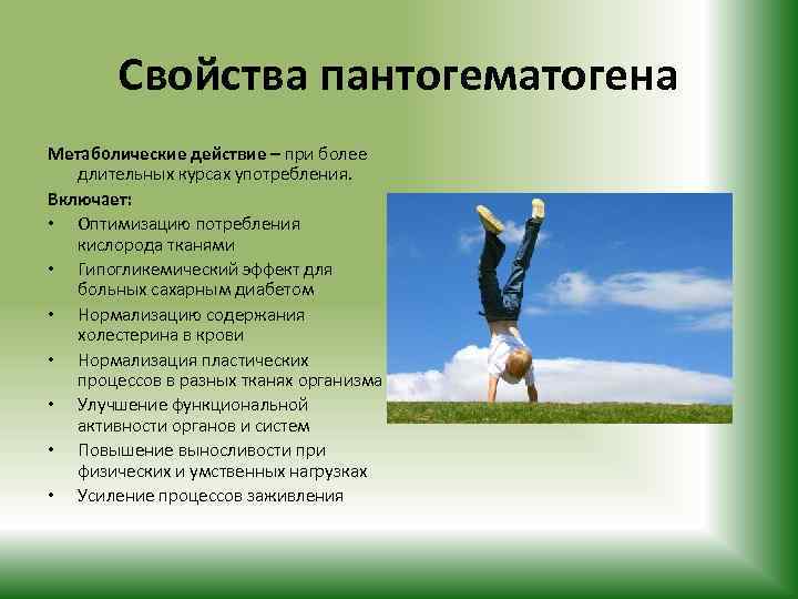 Свойства пантогематогена Метаболические действие – при более длительных курсах употребления. Включает: • Оптимизацию потребления