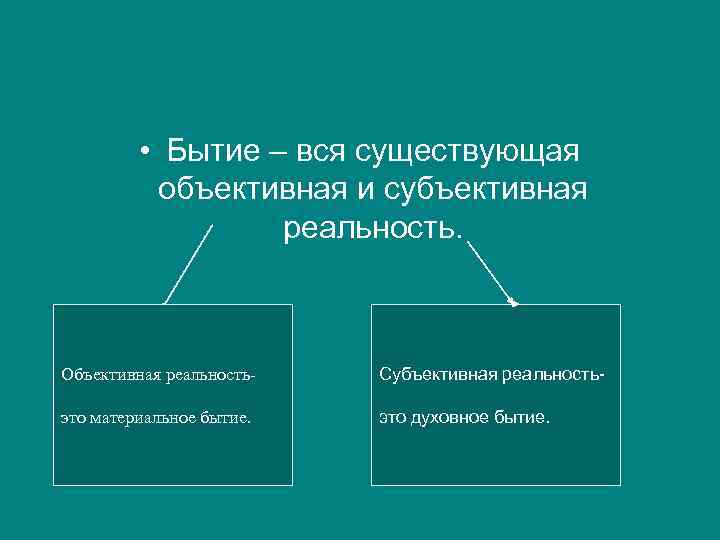 Субъективная действительность