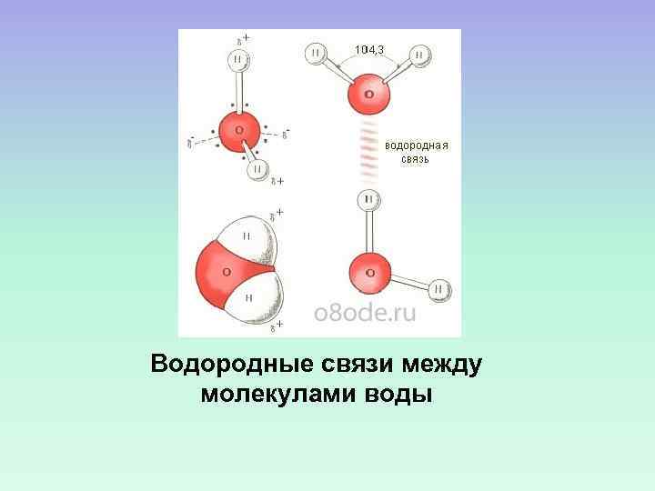 Водородные связи между молекулами воды 