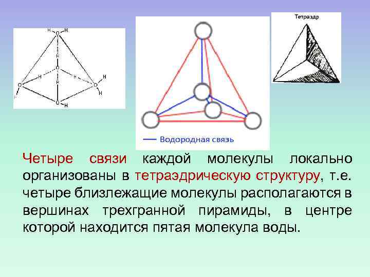 Четыре связи каждой молекулы локально организованы в тетраэдрическую структуру, т. е. четыре близлежащие молекулы