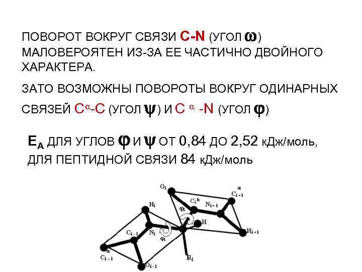 ПОВОРОТ ВОКРУГ СВЯЗИ С-N (УГОЛ ) МАЛОВЕРОЯТЕН ИЗ-ЗА ЕЕ ЧАСТИЧНО ДВОЙНОГО ХАРАКТЕРА. ЗАТО ВОЗМОЖНЫ