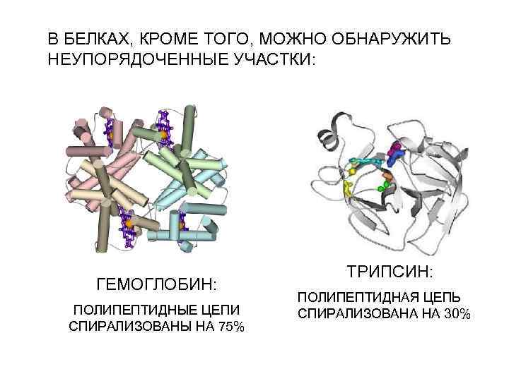 В БЕЛКАХ, КРОМЕ ТОГО, МОЖНО ОБНАРУЖИТЬ НЕУПОРЯДОЧЕННЫЕ УЧАСТКИ: ГЕМОГЛОБИН: ПОЛИПЕПТИДНЫЕ ЦЕПИ СПИРАЛИЗОВАНЫ НА 75%