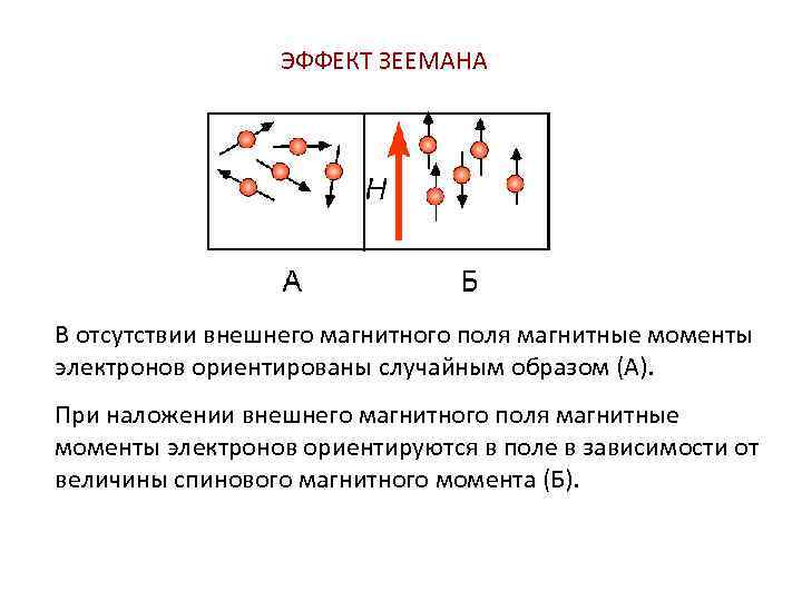 ЭФФЕКТ ЗЕЕМАНА В отсутствии внешнего магнитного поля магнитные моменты электронов ориентированы случайным образом (А).