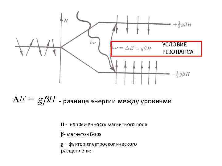 УСЛОВИЕ РЕЗОНАНСА - разница энергии между уровнями H - напряженность магнитного поля - магнетон