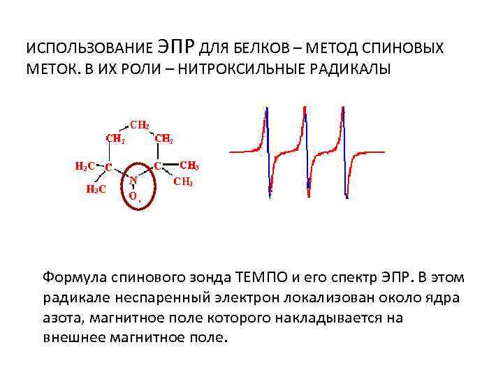 ИСПОЛЬЗОВАНИЕ ЭПР ДЛЯ БЕЛКОВ – МЕТОД СПИНОВЫХ МЕТОК. В ИХ РОЛИ – НИТРОКСИЛЬНЫЕ РАДИКАЛЫ