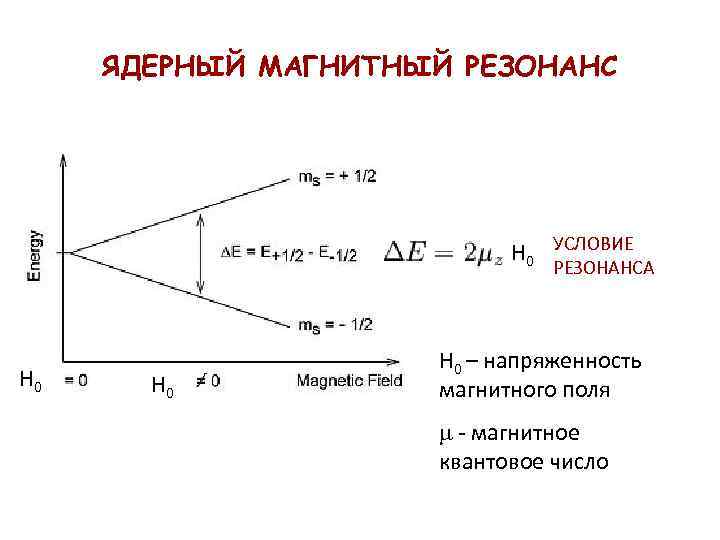 ЯДЕРНЫЙ МАГНИТНЫЙ РЕЗОНАНС Н 0 УСЛОВИЕ РЕЗОНАНСА Н 0 Н 0 – напряженность магнитного