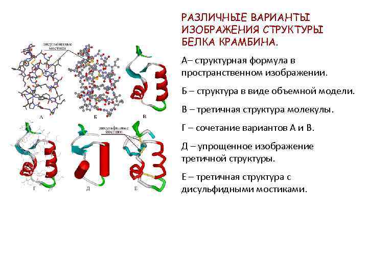 На рисунке представлена структура белка