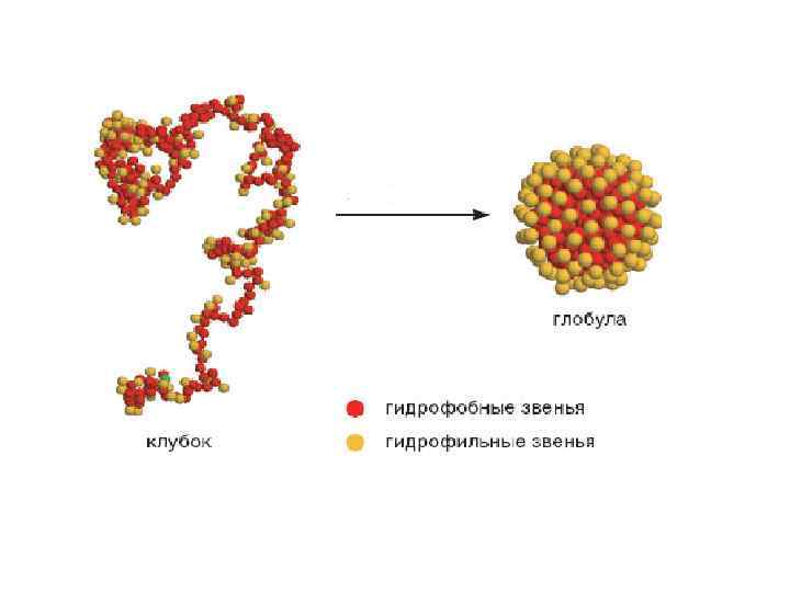Структура глобулы. Глобула. Глобула строение. Связи в глобуле. Клубок и глобула.