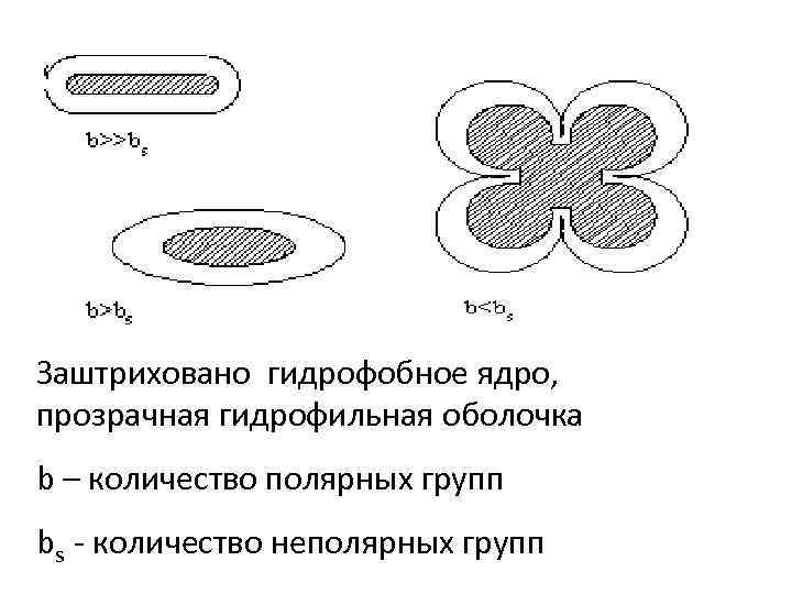 Заштриховано гидрофобное ядро, прозрачная гидрофильная оболочка b – количество полярных групп bs - количество