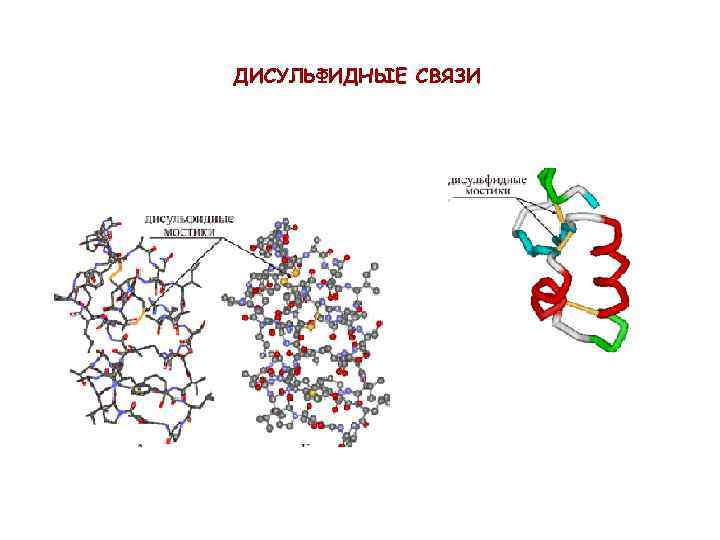ДИСУЛЬФИДНЫЕ СВЯЗИ 