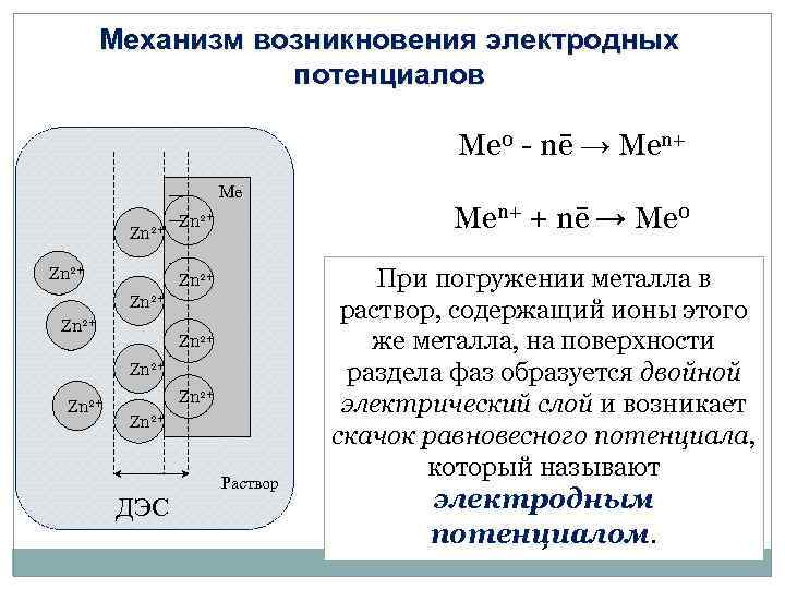 Электрохимический и электродный потенциал