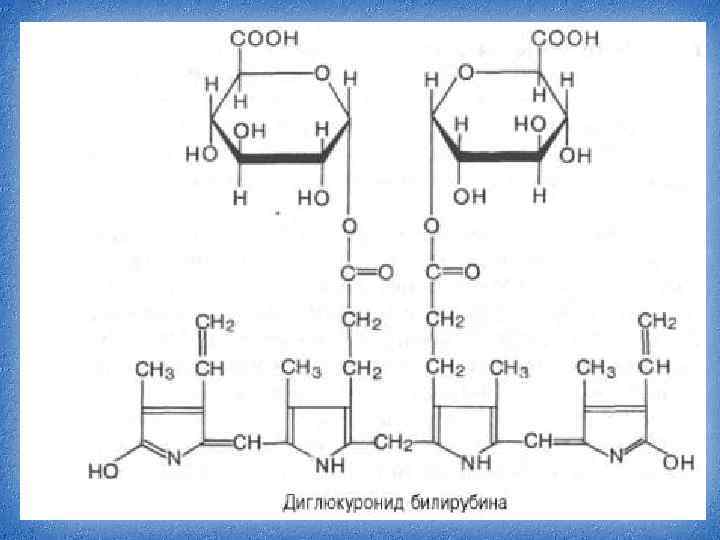 Конъюгация фенобарбитал 