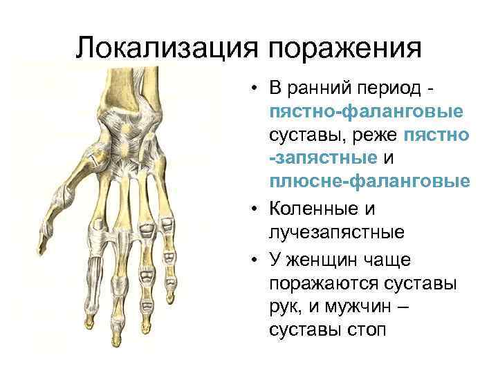 Межфаланговые суставы