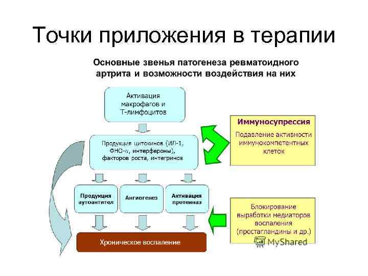 Точки приложения в терапии 