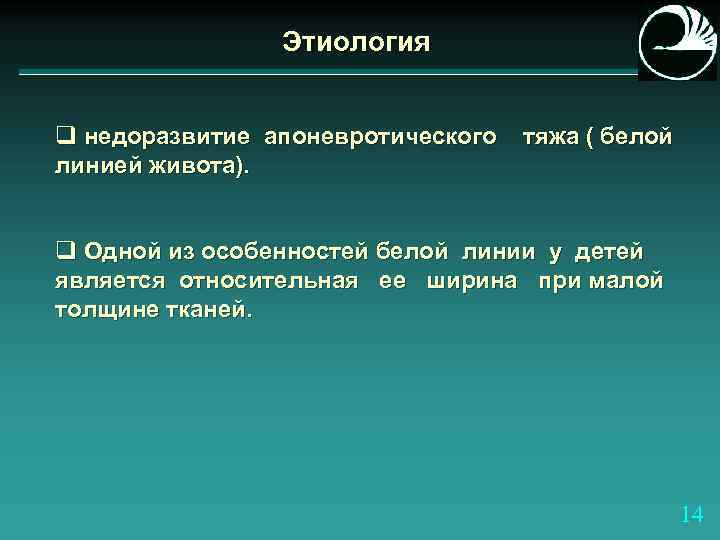 Этиология q недоразвитие апоневротического линией живота). тяжа ( белой q Одной из особенностей белой