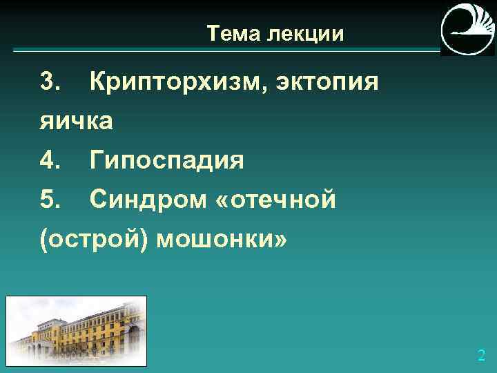 Тема лекции 3. Крипторхизм, эктопия яичка 4. Гипоспадия 5. Синдром «отечной (острой) мошонки» 2