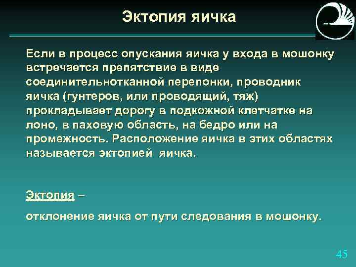 Эктопия яичка Если в процесс опускания яичка у входа в мошонку встречается препятствие в