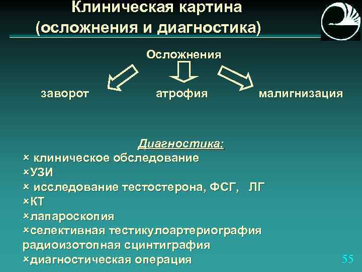 Клиническая картина (осложнения и диагностика) Осложнения заворот атрофия малигнизация Диагностика: û клиническое обследование ûУЗИ