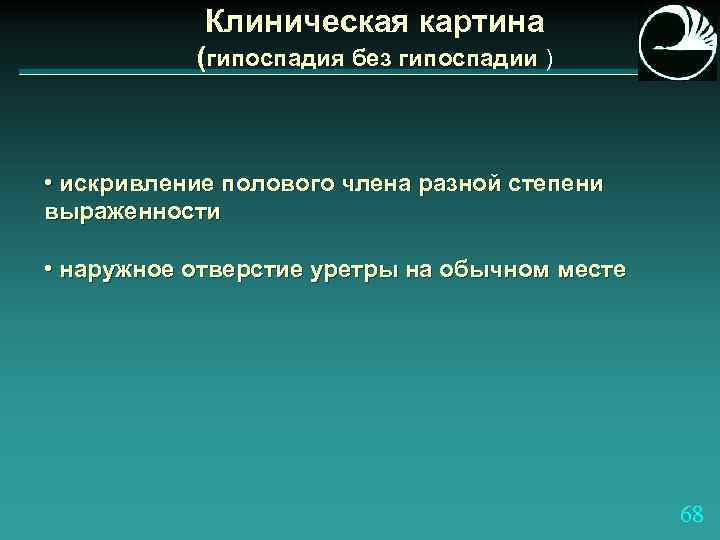 Клиническая картина (гипоспадия без гипоспадии ) • искривление полового члена разной степени выраженности •