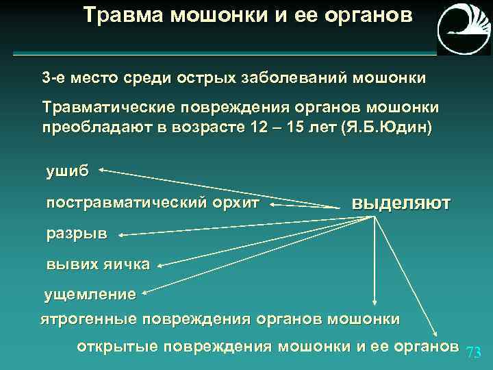 Травма мошонки и ее органов 3 -е место среди острых заболеваний мошонки Травматические повреждения