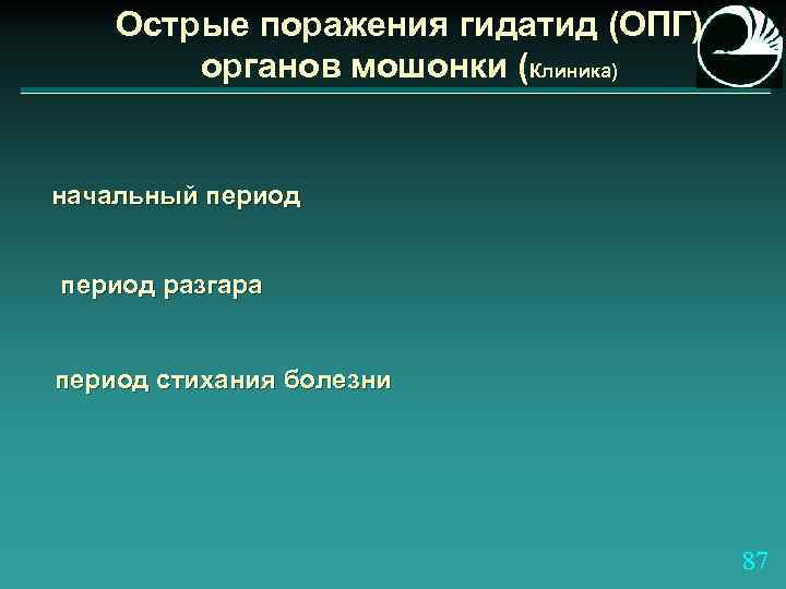 Острые поражения гидатид (ОПГ) органов мошонки (Клиника) начальный период разгара период стихания болезни 87