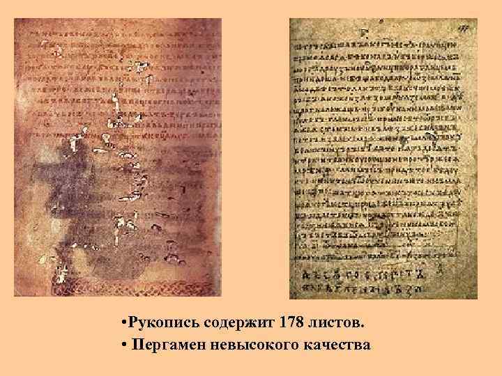  • Рукопись содержит 178 листов. • Пергамен невысокого качества 