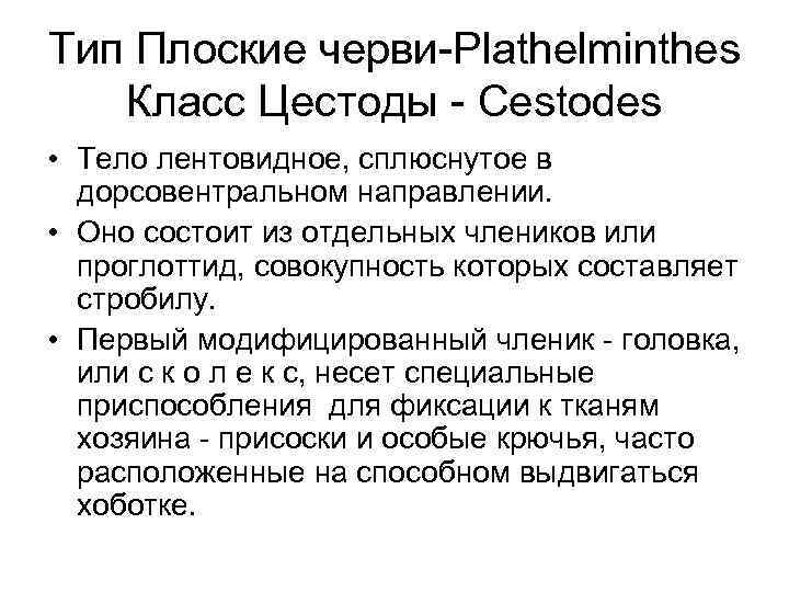 Тип Плоские черви Plathelminthes Класс Цестоды Cestodes • Тело лентовидное, сплюснутое в дорсовентральном направлении.