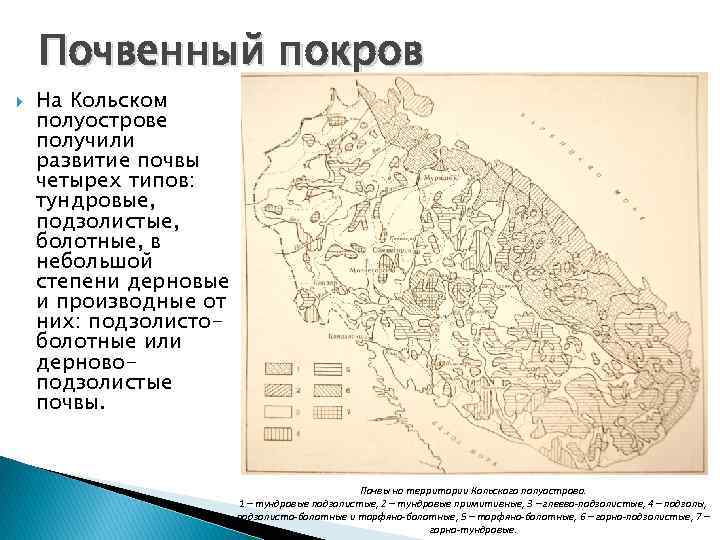 Почвенная карта мурманской области