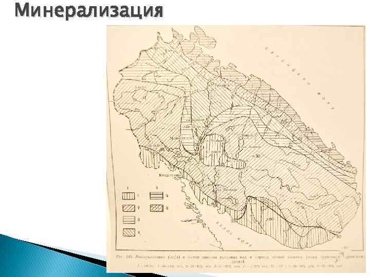 Минерализация 