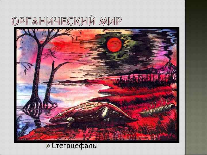  Стегоцефалы 