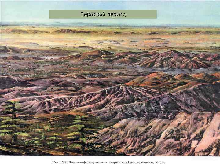 Пермский период 