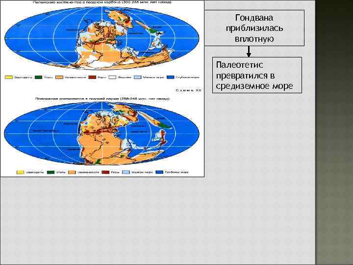 Гондвана приблизилась вплотную Палеотетис превратился в средиземное море 