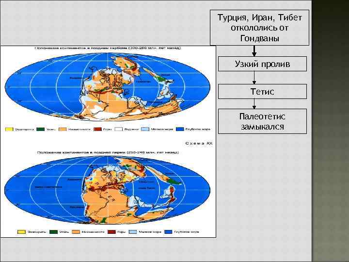 Турция, Иран, Тибет откололись от Гондваны Узкий пролив Тетис Палеотетис замыкался 