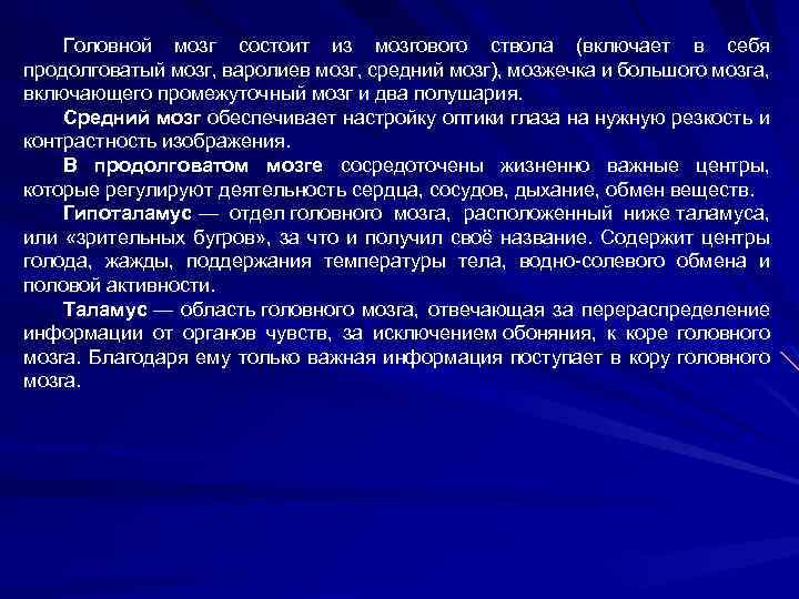 Головной мозг состоит из мозгового ствола (включает в себя продолговатый мозг, варолиев мозг, средний