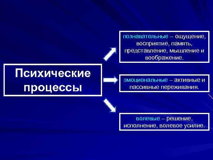 Заполните схемы восприятие объективное память представление память воображение