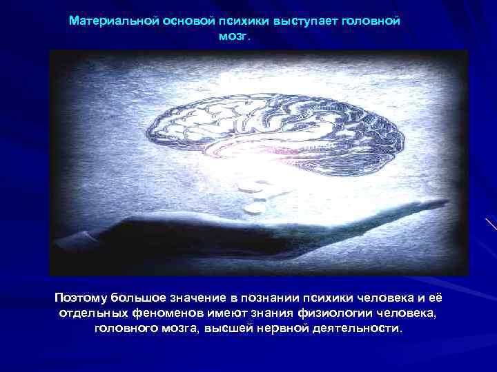 Материальной основой психики выступает головной мозг. Поэтому большое значение в познании психики человека и