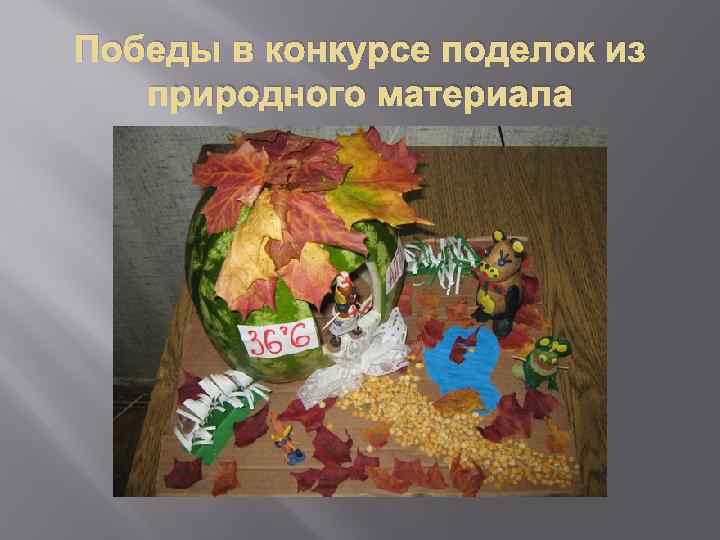 Победы в конкурсе поделок из природного материала 